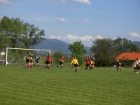 [Rozmiar: 12771 bajt�w]