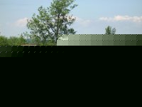 [Rozmiar: 12771 bajt�w]